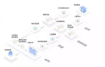 保险公司与AI供应商在人工智能应用中的分工——以泰康在线为例